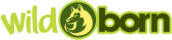 lunderland logo-2
